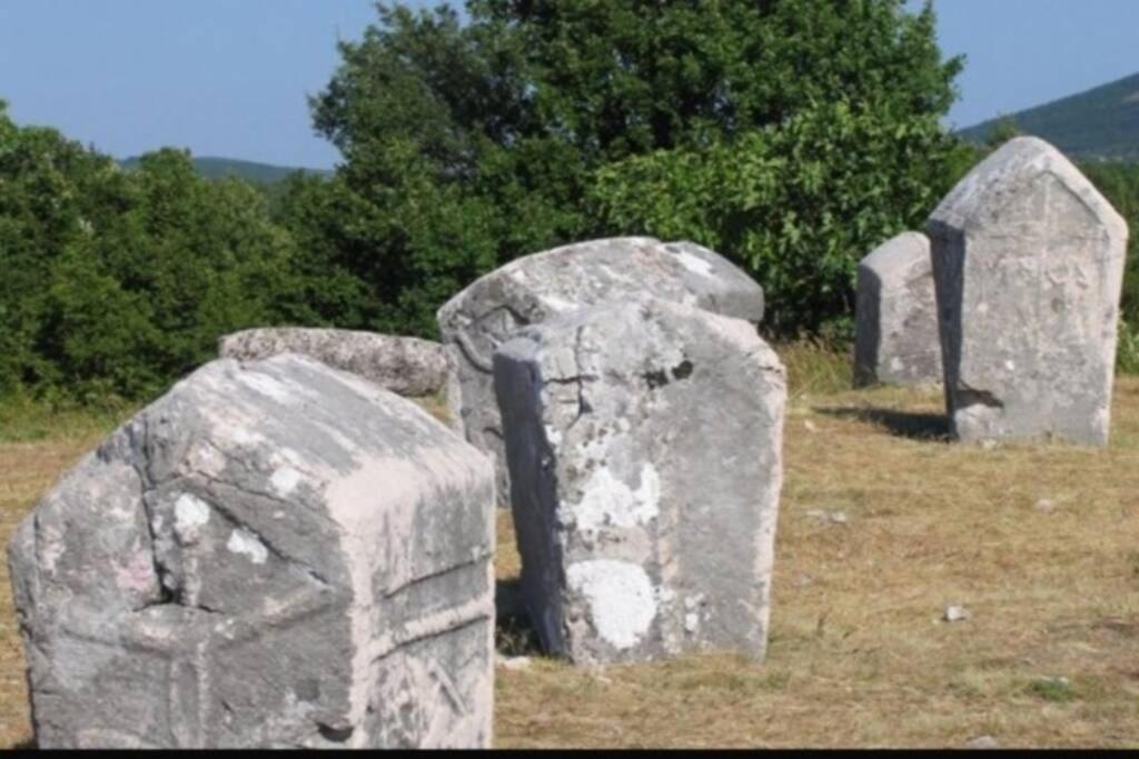 Villa Green Hill, Cista Velika, Imotski Omiš Exteriör bild